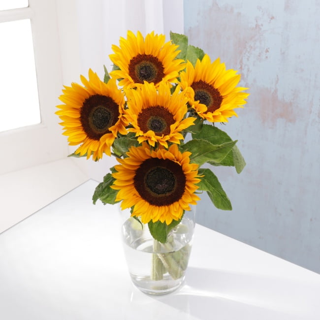 Sunflowers (5 Stems) Bouquet - Gift Moments