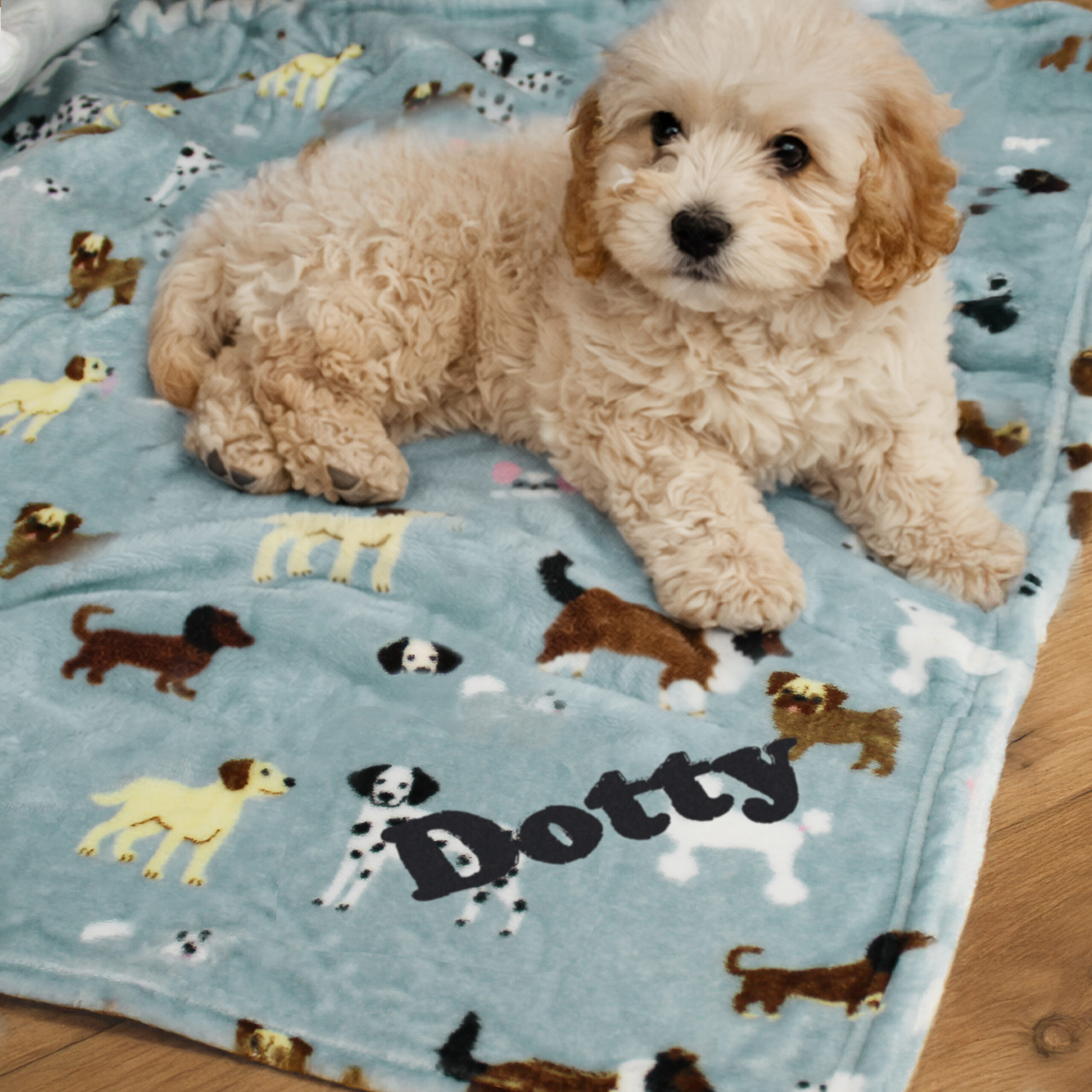 Personalised dog print blanket
