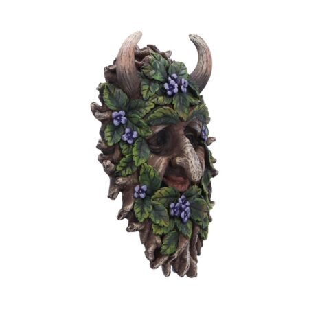 Alder wall mounted tree spirit 20 2cm 386 6e09f1ce c909 4721 a475 823f02b2bef4