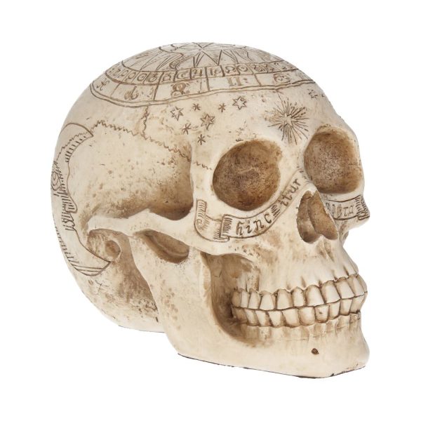 Astrological Skull Engraved With The Zodiac Circle 20cm: 2 - Figurines Medium (15-29cm) By Gift Moments