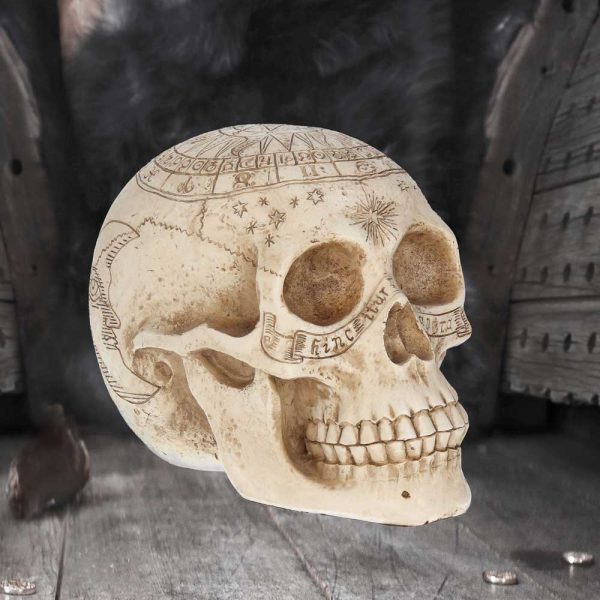 Astrological Skull Engraved With The Zodiac Circle 20cm: 1 - Figurines Medium (15-29cm) By Gift Moments