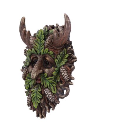 Bryn wall mounted tree spirit 20 8cm
