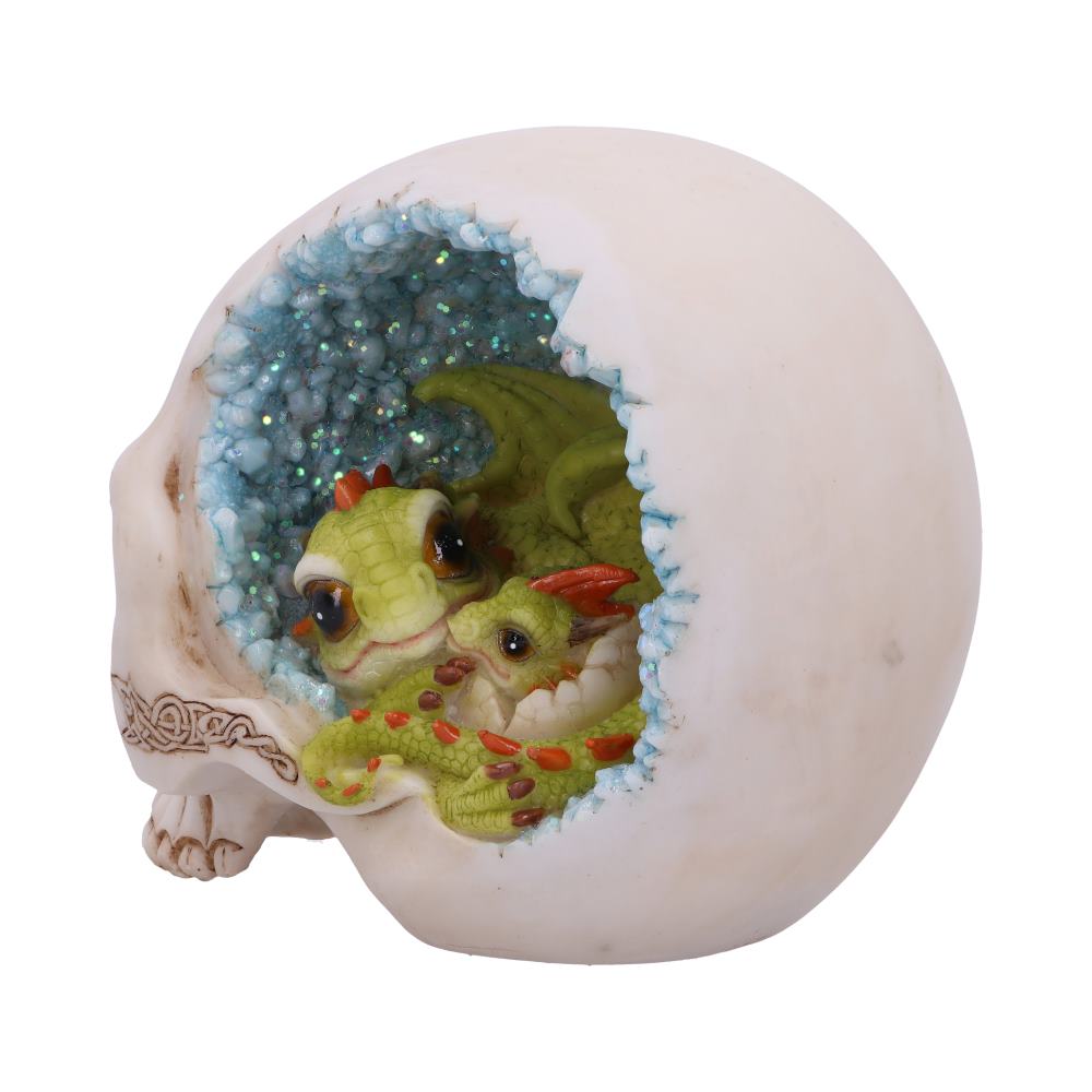 Celtic Cave Skull 15cm: 3 - Figures & Collectables By Gift Moments