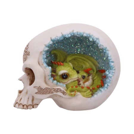 Celtic Cave Skull 15cm: 2 - Figures & Collectables By Gift Moments