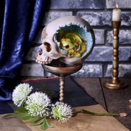 Celtic Cave Skull 15cm: 1 - Figures & Collectables By Gift Moments