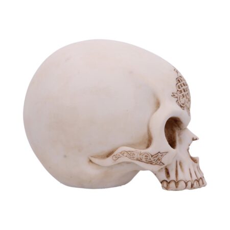 Celtic Cave Skull 15cm: 4 - Figures & Collectables By Gift Moments