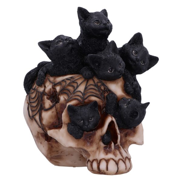 Cranial Litter Skull: 2 - Figures & Collectables By Gift Moments