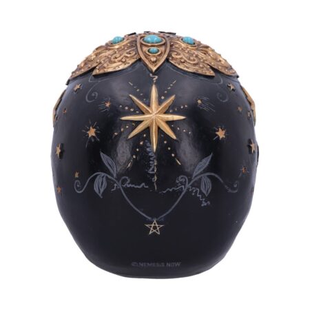 Destiny Palmistry Skull 18cm: 4 - Figures & Collectables By NN Designs