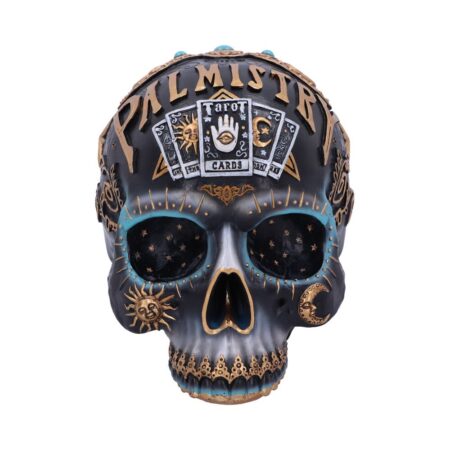 Destiny Palmistry Skull 18cm: 3 - Figures & Collectables By NN Designs