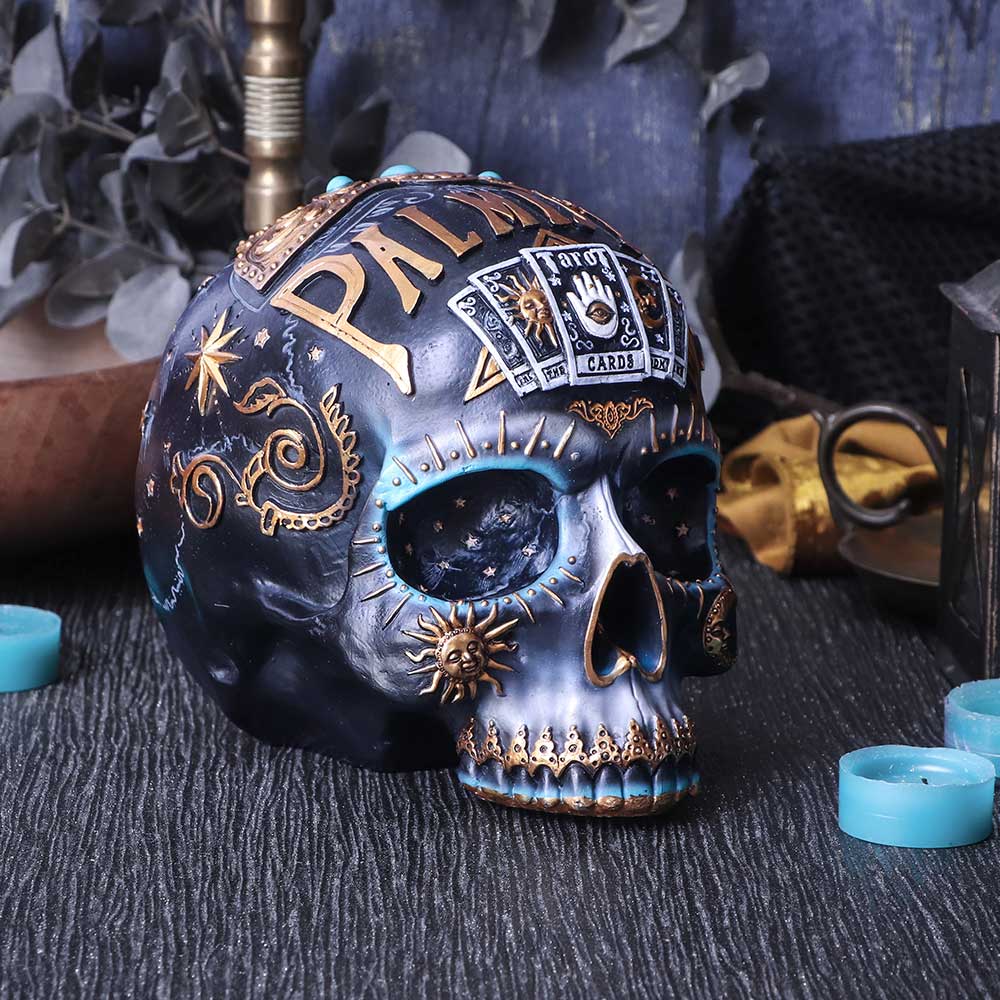 Destiny Palmistry Skull 18cm: 1 - Figures & Collectables By NN Designs