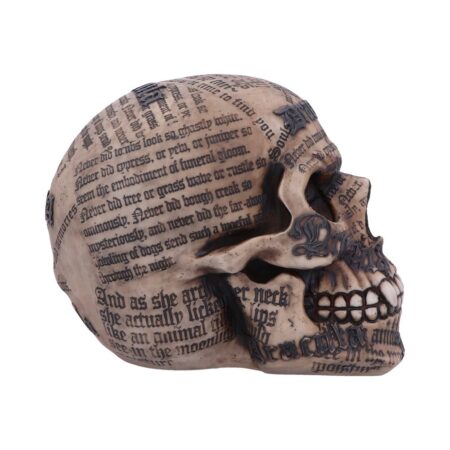 Dracula’s Tale Vampire Novel Quote Skull: 5 - Figurines Medium (15-29cm) By NN Designs