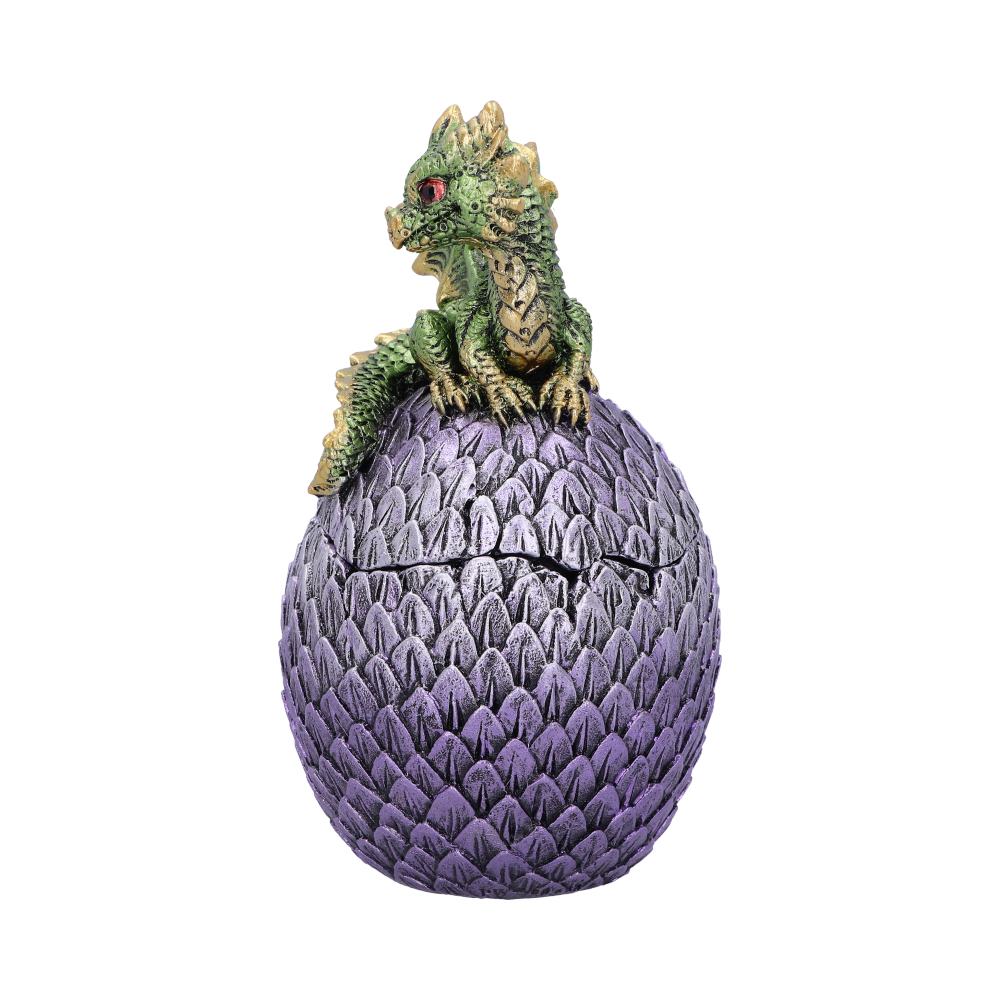 Dragonling Perch Box Metallic Green Dragon Box 14cm: 3 - Boxes By Gift Moments