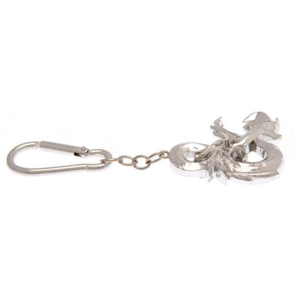 Dungeons & Dragons 3D Keyring: 2 - Keyrings By Dungeons & Dragons