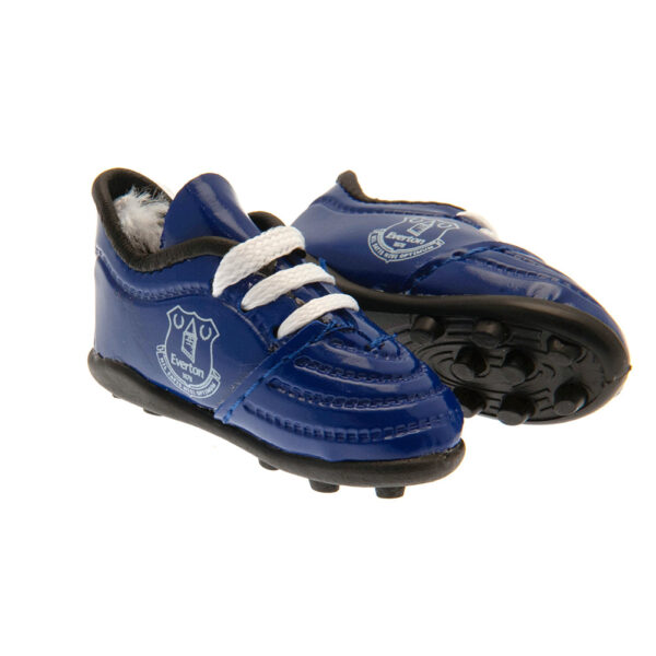 Everton FC Mini Football Boots Display: 2 - Car Accessories By Everton