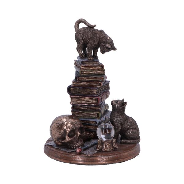 Feline Scholars Bronze Cat Ornament: 2 - Figures & Collectables By Gift Moments
