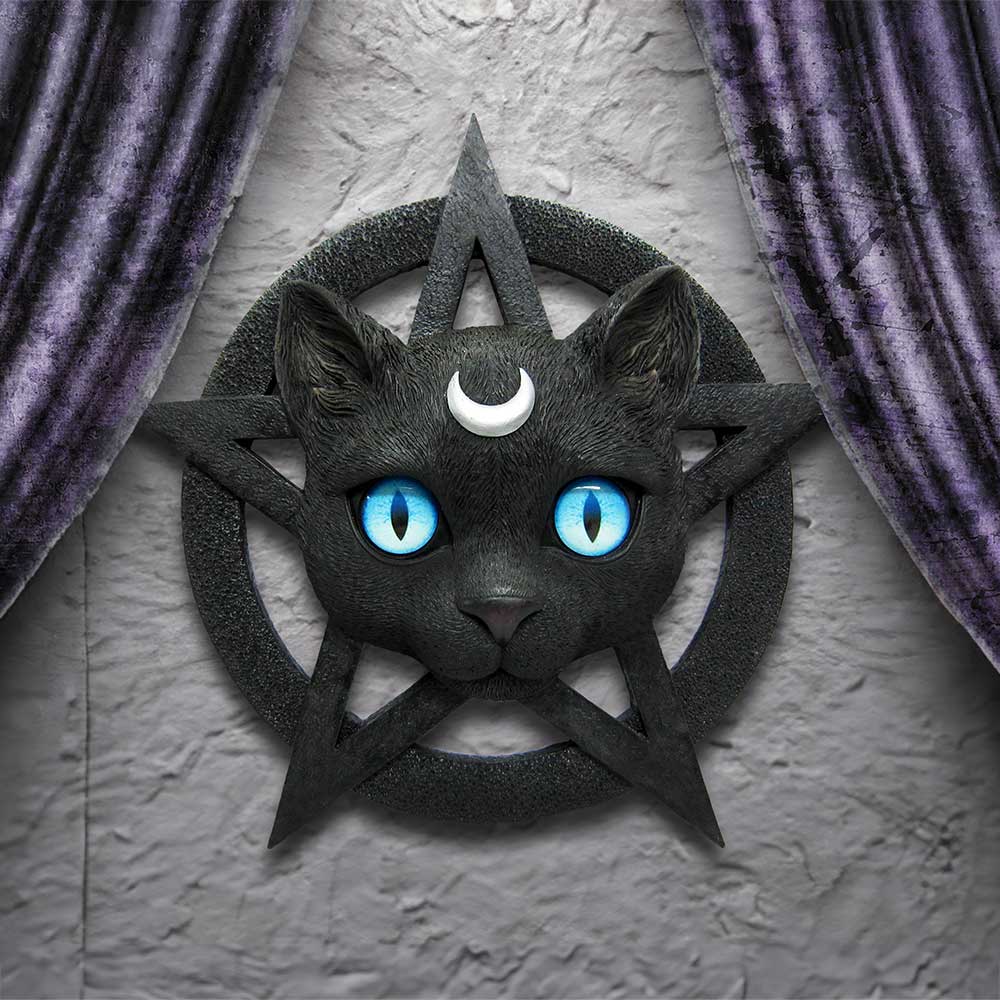 Feline Worship Cat Pentagram Wall Plaque 25.5cm: 1 - Wall Hanging Sculptures By Gift Moments
