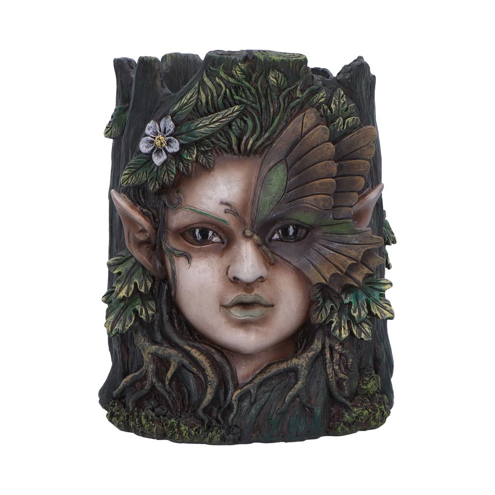 Flora planter nature plant pot