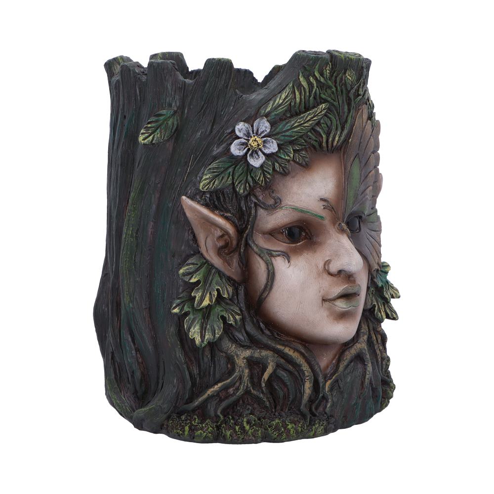 Flora planter nature plant pot