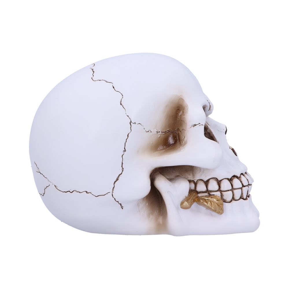 Floral Fate Golden Rose Skull Ornament.: 5 - Figures & Collectables By Gift Moments