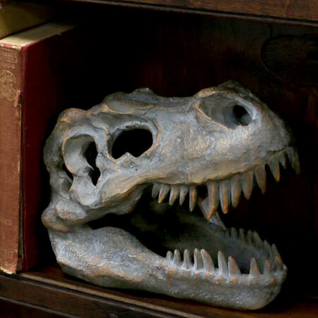 Freestanding tyrannosaurus rex skull figurine ornament