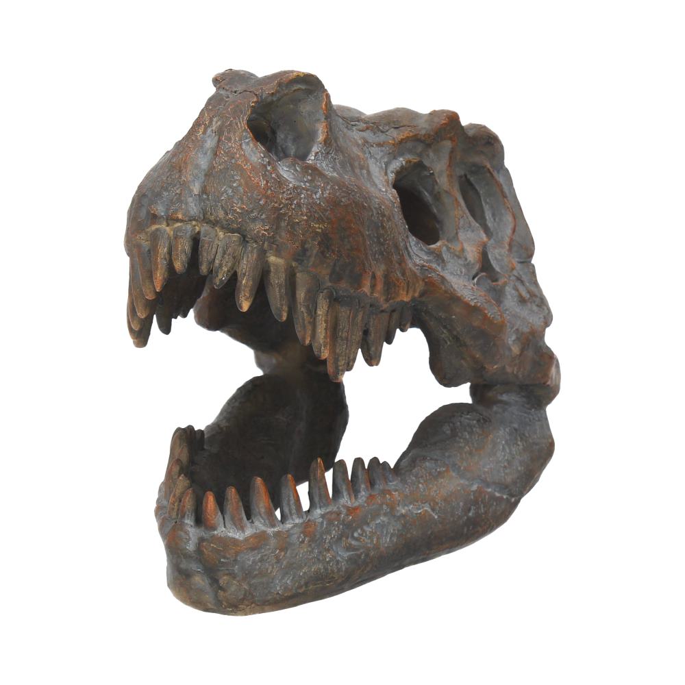Freestanding tyrannosaurus rex skull figurine ornament
