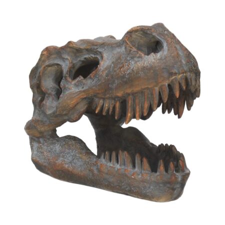 Freestanding tyrannosaurus rex skull figurine ornament