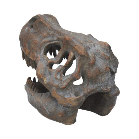 Freestanding tyrannosaurus rex skull figurine ornament