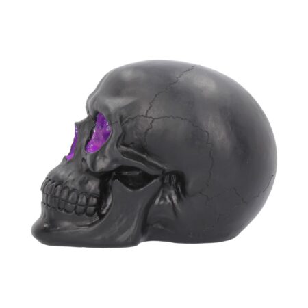 Geode Skull Black Purple Gothic Glitter Skull Figurine: 4 - Figurines Medium (15-29cm) By NN Designs