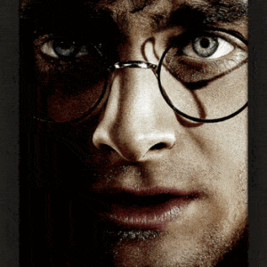 Harry Potter Framed 3D Picture: 1 - Wall Art By Harry Potter
