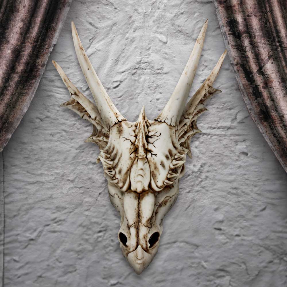 The Last Dragon Skull Realistic Reptile Skeleton Head: 1 - Figures & Collectables By Gift Moments