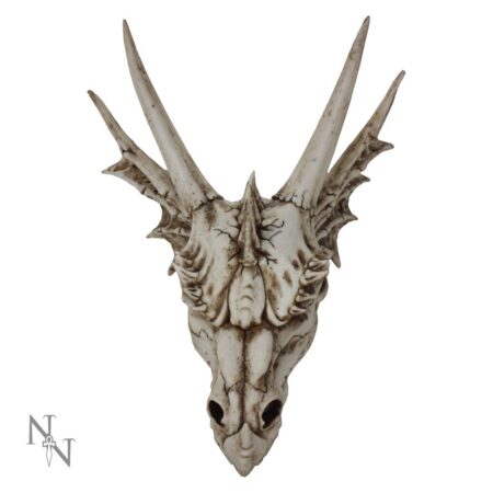 The Last Dragon Skull Realistic Reptile Skeleton Head: 2 - Figures & Collectables By Gift Moments