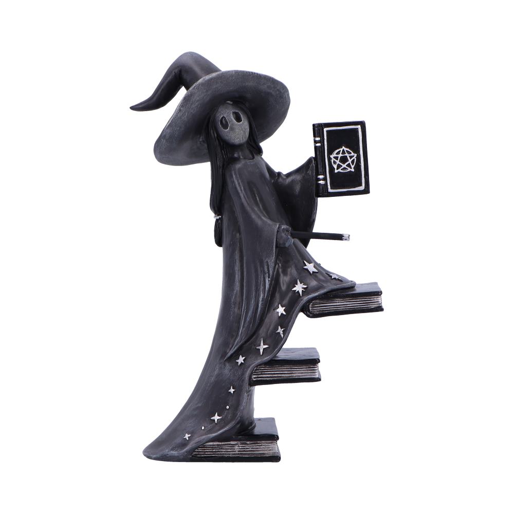 Little souls luna witch books figurine