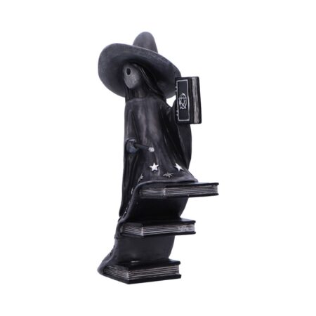 Little souls luna witch books figurine