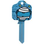 Mr bump door key