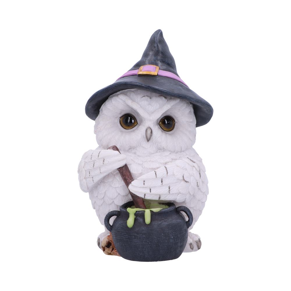 Owl Potion Figurine 17.5cm: 2 - Figures & Collectables By Gift Moments