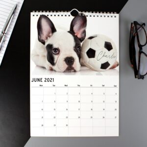 Personalised A4 Barking Mad Calendar: 4 - Calendars & Planners By Gift Moments