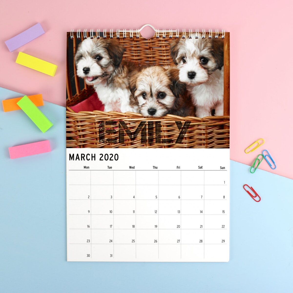 Personalised A4 Barking Mad Calendar: 3 - Calendars & Planners By Gift Moments