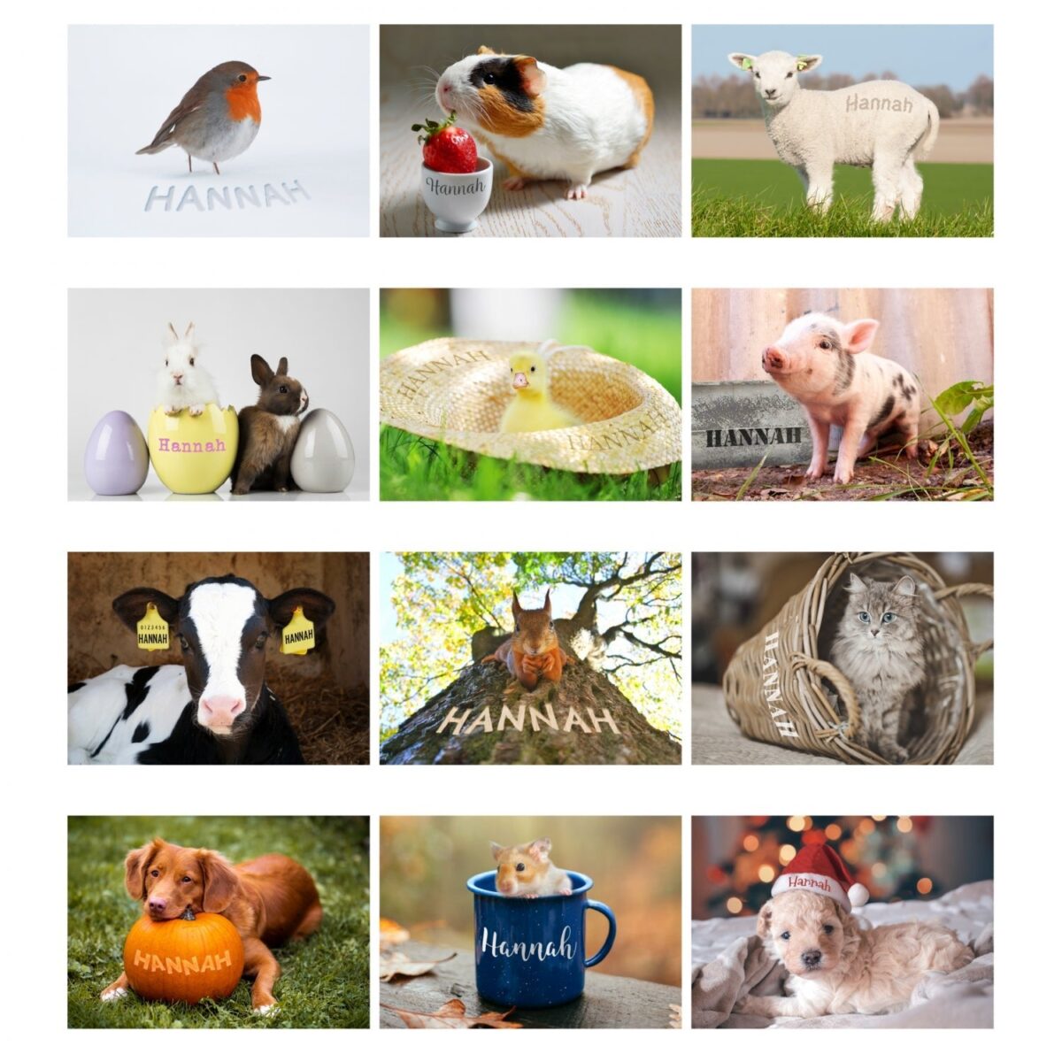 Personalised A4 Cute Animals Calendar: 6 - Calendars & Planners By Gift Moments