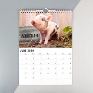 Personalised A4 Cute Animals Calendar: 2 - Calendars & Planners By Gift Moments
