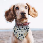Personalised Christmas Tree Dog Bandana: 1 - Pet Products By Gift Moments