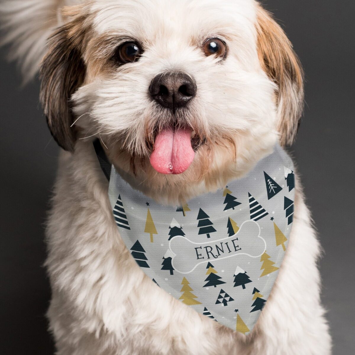 Personalised Christmas Tree Dog Bandana: 2 - Pet Products By Gift Moments
