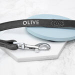 Personalised Black Leather Dog Lead: 1 - Pet Products By Gift Moments