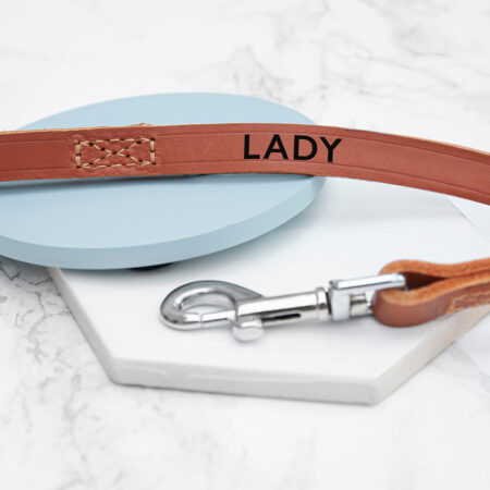 Personalised Brown Leather Dog Lead: 1 - Pet Products By Gift Moments