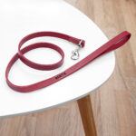 Personalised Red Leather Dog Lead: 1 - Pet Products By Gift Moments