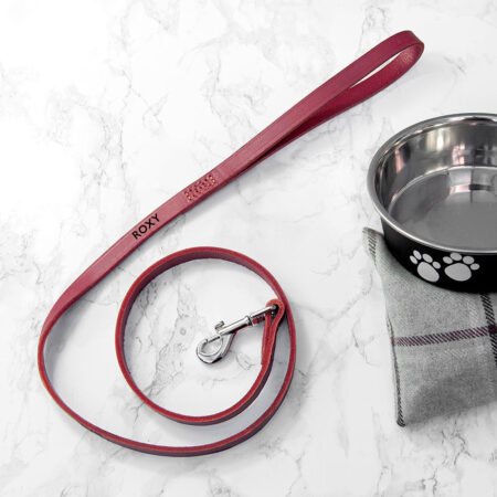 Personalised Red Leather Dog Lead: 2 - Pet Products By Gift Moments
