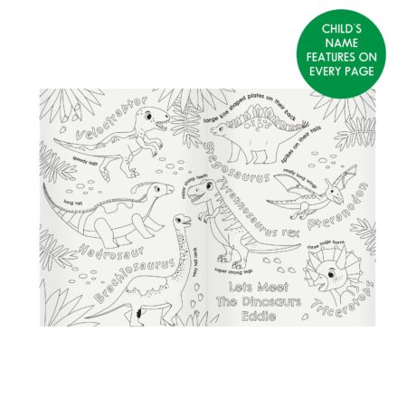 Personalised Dinosaur Colouring Book: 6 - Books By Gift Moments