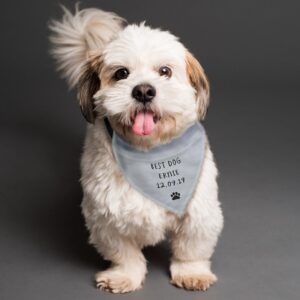 Personalised Dog Bandana: 3 - Pet Products By Gift Moments
