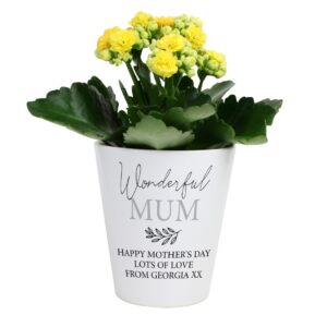 Personalised Free Text Plant Pot: 7 - Pots & Planters By Gift Moments