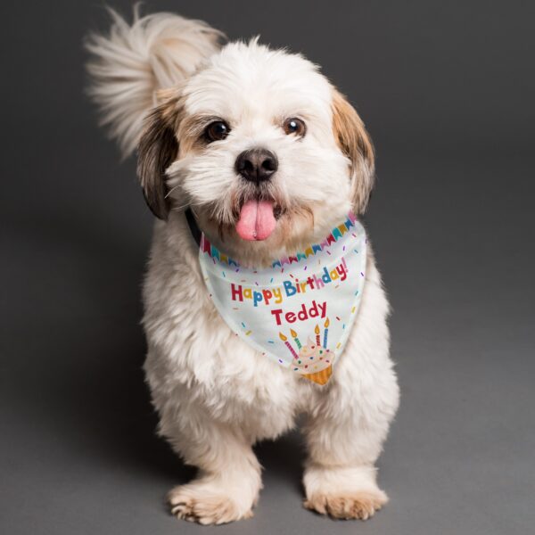 Personalised Happy Birthday Dog Bandana: 2 - Pet Products By Gift Moments