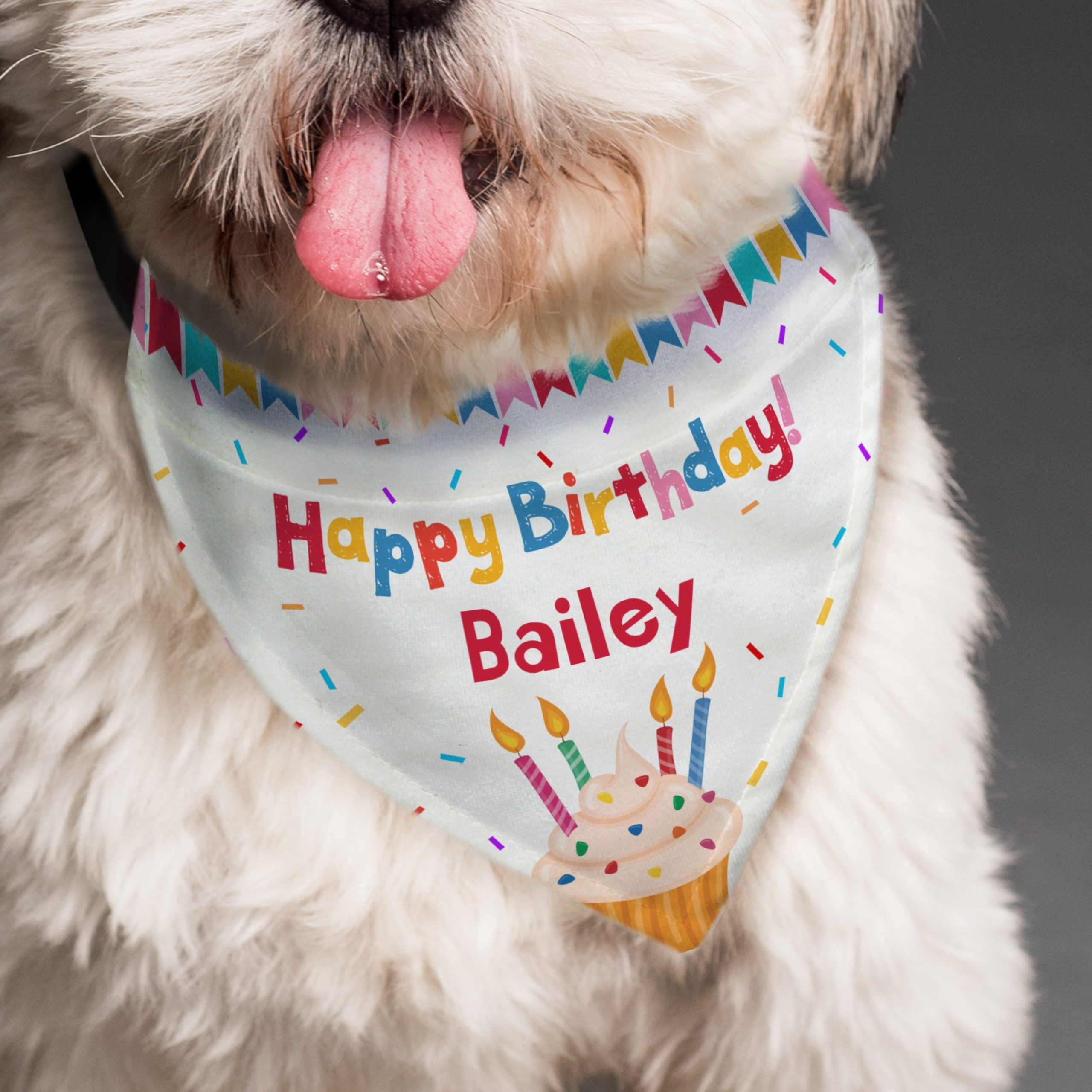 Personalised Happy Birthday Dog Bandana: 1 - Pet Products By Gift Moments